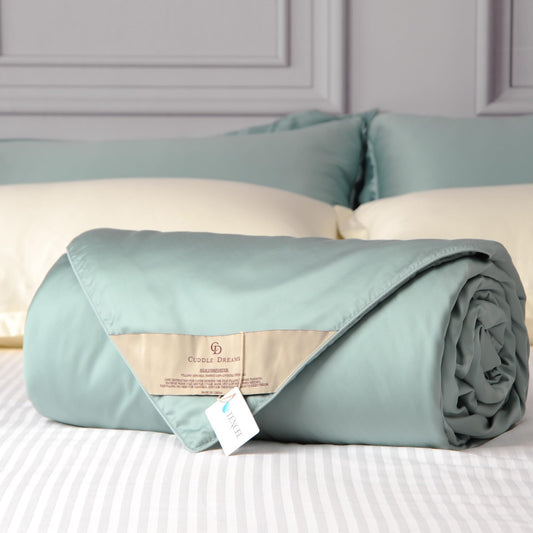 CUDDLE DREAMS Lightweight Silk Filled Comforter for Summer, Detachable Tencel Duvet Cover for Easy Care, Naturally Breathable & Cooling (Celadon, Twin)